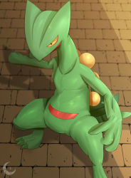 Rule 34 | blurry, closed mouth, commentary request, creatures (company), game freak, gen 3 pokemon, highres, legs apart, looking down, mizunogoke, nintendo, no humans, pokemon, pokemon (creature), sceptile, solo, spikes, watermark, yellow eyes