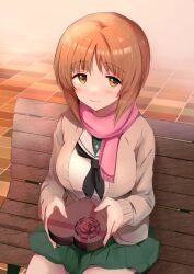 Rule 34 | 1girl, absurdres, black neckerchief, blouse, box, brick floor, brown eyes, brown hair, cardigan, closed mouth, commentary, emilio (tetsukazu no ao), fringe trim, gift, gift box, girls und panzer, green skirt, grey cardigan, heart-shaped box, highres, holding, holding gift, long sleeves, miniskirt, neckerchief, nishizumi miho, on bench, ooarai school uniform, open cardigan, open clothes, pink scarf, pleated skirt, sailor collar, scarf, school uniform, serafuku, shirt, short hair, sitting, skirt, smile, solo, valentine, white sailor collar, white shirt