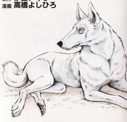 Rule 34 | animal hands, asukari (fang), claws, dog, fang, tagme, tail, wolf