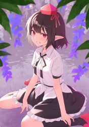 Rule 34 | 1girl, black legwear, black ribbon, black skirt, blouse, blush, collared shirt, commentary, flower, frilled skirt, frills, full body, hand on own ankle, hat, highres, kanpa (campagne 9), lilac, looking at viewer, neck ribbon, pointy ears, red eyes, red footwear, red hat, ribbon, shameimaru aya, shirt, shoes, short hair, short sleeves, sitting, skirt, smile, solo, tokin hat, touhou, wariza, water, white shirt