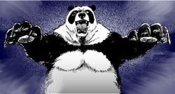 Rule 34 | animal, bear, blue background, ginga nagareboshi gin, kumanokumatarou, no humans, panda, parody, style parody