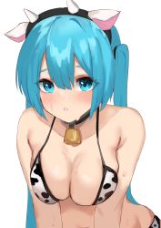Rule 34 | 1girl, absurdres, alternate breast size, animal ears, animal print, bare shoulders, bell, bikini, black hairband, blue eyes, blue hair, blush, breasts, cleavage, collar, cow ears, cow horns, cow print, eyebrows hidden by hair, fake animal ears, fake horns, hairband, hatsune miku, highres, horns, large breasts, long hair, looking at viewer, neck bell, neko no suke (nekoneco118), parted lips, print bikini, resolution mismatch, simple background, solo, source smaller, sweat, swimsuit, twintails, upper body, very long hair, vocaloid, white background, white bikini