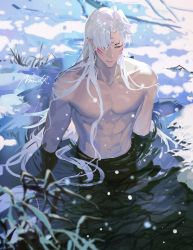 Rule 34 | 1boy, abs, branch, chinese commentary, closed mouth, collarbone, commentary request, crescent, crescent facial mark, expressionless, facial mark, highres, inuyasha, lips, long hair, male focus, mmmilk, muscular, muscular male, parted bangs, partially submerged, pectorals, pointy ears, sesshoumaru, sidelocks, signature, snow, snowing, solo, very long hair, water, white hair, yellow eyes