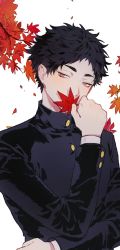 Rule 34 | 1boy, akaashi keiji, autumn leaves, black hair, black jacket, buttons, covering own mouth, gakuran, haikyuu!!, highres, holding, holding leaf, jacket, leaf, long sleeves, looking at viewer, male focus, mgmg 1012, school uniform, short hair, solo