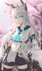 Rule 34 | 1girl, animal ears, appl3, aqua eyes, azur lane, black gloves, black skirt, black thighhighs, blurry, cherry blossoms, collarbone, commentary request, depth of field, detached sleeves, fox ears, gloves, hand on own hip, highres, holding, holding sword, holding weapon, katana, kawakaze (azur lane), long hair, looking at viewer, midriff, petals, pleated skirt, sailor collar, sidelocks, silver hair, skirt, solo, sword, thighhighs, weapon, wide sleeves, zettai ryouiki