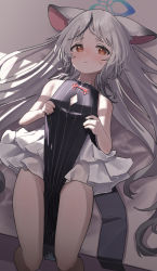 Rule 34 | 1girl, animal ears, bare shoulders, black dress, blue archive, blush, brown eyes, closed mouth, clothing cutout, dress, gradient hair, grey background, grey hair, halo, highres, kokona (blue archive), lifting own clothes, long hair, looking at viewer, lying, multicolored hair, namaonpa, on back, sleeveless, sleeveless dress, solo, striped clothes, striped dress, sweatdrop, vertical-striped clothes, vertical-striped dress, very long hair