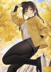 Rule 34 | 1girl, :d, arm up, autumn, autumn leaves, bad id, bad twitter id, baseball cap, black footwear, black pantyhose, black shorts, blush, breast pocket, breasts, brown hair, day, falling leaves, fine fabric emphasis, from side, ginkgo leaf, grin, hand in pocket, hand on headwear, hat, jacket, leaf, leg up, pantyhose under shorts, long hair, long sleeves, looking at viewer, looking to the side, medium breasts, open clothes, open jacket, open mouth, original, outdoors, pantyhose, pocket, ponytail, purple eyes, shirt, short shorts, shorts, smile, solo, standing, standing on one leg, teeth, tokki, unbuttoned, white shirt, yellow jacket