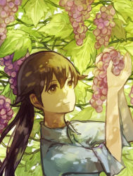 Rule 34 | 1girl, angela salas larrazabal, bad id, bad pixiv id, brown hair, collared shirt, food, fruit, grapes, leaf, long hair, picking fruit, ponytail, shirono kuma, shirt, sleeves rolled up, smile, solo, strike witches, world witches series, yellow eyes