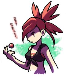 Rule 34 | 1girl, bare arms, bravefarm2, commentary request, creatures (company), flannery (pokemon), game freak, long hair, midriff, navel, nintendo, poke ball, poke ball (basic), pokemon, pokemon oras, red eyes, red hair, shirt, solo, tied shirt, translation request, upper body
