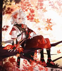 Rule 34 | 1boy, animal, animal on lap, armor, bandaged arm, bandages, black gloves, branch, cat, cat on lap, closed mouth, commentary, emmikn, english commentary, fingerless gloves, genshin impact, gloves, highres, in tree, japanese armor, kaedehara kazuha, leaf, leaf print, male focus, maple leaf, multicolored hair, on lap, ponytail, red eyes, red hair, sitting, sitting in tree, tassel, tree, white cat