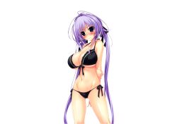 Rule 34 | 1girl, arms behind back, black panties, blue eyes, blush, breasts, groin, halterneck, halterneck, highres, hoshizaki ouka, large breasts, long hair, navel, official art, oshiki hitoshi, panties, purple hair, sakigake generation!, solo, transparent background, twintails, underwear, underwear only, very long hair