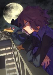 Rule 34 | 1boy, bird, building, closed mouth, cloud, commentary request, creatures (company), crossed arms, from side, game freak, gen 2 pokemon, highres, ichihara yuuto, jacket, male focus, moon, murkrow, night, nintendo, outdoors, paul (pokemon), pokemon, pokemon (anime), pokemon (creature), pokemon dppt (anime), purple hair, purple jacket, short hair, sky