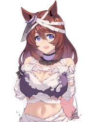 Rule 34 | 1girl, :d, bandaged arm, bandaged head, bandages, bare shoulders, breasts, brown hair, cleavage, commentary, hair between eyes, hands on own chest, highres, kimi tsuru, large breasts, long hair, looking at viewer, navel, official alternate costume, open mouth, purple eyes, revealing clothes, sarashi, signature, simple background, smile, solo, stomach, super creek (chiffon ribbon mummy) (umamusume), super creek (umamusume), teeth, torn clothes, umamusume, upper body, upper teeth only, very long hair, white background