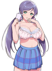 Rule 34 | 10s, 1girl, bare shoulders, bra, breasts, camera phone, cellphone, cleavage, green eyes, highres, large breasts, light smile, long hair, looking at viewer, love live!, love live! school idol project, no shirt, parted lips, phone, purple hair, selfie, shinjiro, simple background, skindentation, skirt, solo, tojo nozomi, twintails, underwear, white background