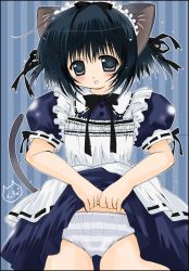 Rule 34 | 1girl, animal ears, blue panties, cat ears, cat tail, clothes lift, lace, lace-trimmed panties, lace trim, lifted by self, maid, maid headdress, panties, short hair, skirt, skirt lift, solo, striped clothes, striped panties, tail, underwear