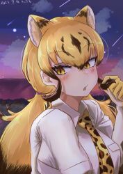 Rule 34 | 1girl, animal ear fluff, animal ears, animal print, blonde hair, blush, breast pocket, breasts, brown hair, cheetah (kemono friends), cheetah ears, cheetah print, collared shirt, colored inner hair, commentary request, dated, elbow gloves, extra ears, eyelashes, eyeshadow, fidgeting, gloves, gradient sky, hair between eyes, hand up, highres, holding, holding own hair, kemono friends, large breasts, long hair, looking at viewer, low twintails, makeup, multicolored hair, necktie, night, outdoors, parted bangs, parted lips, playing with hair, playing with own hair, pocket, print gloves, print necktie, purple eyeshadow, shirt, short sleeves, sky, solo, taut clothes, taut shirt, tsuppushi, tsurime, twintails, two-tone hair, upper body, very long hair, white shirt, wing collar, yellow eyes