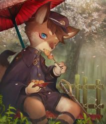 Rule 34 | 1boy, absurdres, animal ears, blue eyes, brown hair, bulge, cherry blossoms, dango, eating, erection, erection under clothes, food, fox boy, fox ears, fox tail, furry, furry male, hat, highres, huge filesize, looking at viewer, male focus, one eye closed, original, outdoors, parasol, sitting, solo, tail, totatetta, tree, umbrella, uniform, upshorts, wagashi