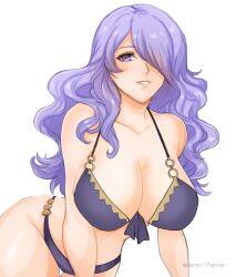 Rule 34 | 1girl, absurdres, bare shoulders, bikini, breasts, camilla (fire emblem), camilla (summer) (fire emblem), commentary, fire emblem, fire emblem fates, fire emblem heroes, grin, groin, highres, large breasts, long hair, looking at viewer, nintendo, official alternate costume, parted lips, purple bikini, purple eyes, purple hair, sierra117renner, simple background, smile, solo, stomach, swimsuit, very long hair, white background