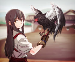 Rule 34 | 10s, 1girl, akagi (kancolle), bird, black feathers, blurry, brown eyes, brown hair, claws, depth of field, feathers, gloves, japanese clothes, kantai collection, looking at viewer, looking back, smile, solo, target, tsuta no ha