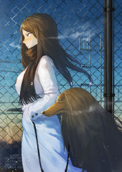 Rule 34 | 1girl, 2018, afghan hound, animal, black hair, black scarf, blue sky, blurry, blurry background, blush, breasts, breath, brown hair, chain-link fence, closed mouth, coat, day, depth of field, dog, pet walking, feet out of frame, fence, fringe trim, from side, hands in pockets, highres, leash, long coat, long hair, long sleeves, looking away, medium breasts, nose blush, original, outdoors, parted bangs, power lines, profile, pyz (cath x tech), scarf, serious, signature, sky, solo, tsurime, walking, white coat, winter, winter clothes, winter coat