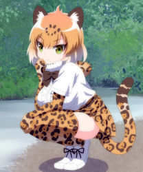 Rule 34 | 10s, 1girl, animal ears, arm rest, blonde hair, bow, bowtie, closed mouth, day, full body, fur collar, gloves, hand to own mouth, hand up, jaguar (kemono friends), jaguar ears, jaguar print, jaguar tail, kemono friends, looking at viewer, mamiyama, multicolored hair, outdoors, print gloves, print skirt, shirt, shoes, short hair, short sleeves, skirt, solo, squatting, tail, thighhighs, tsurime, white footwear, white hair, white shirt, yellow eyes, zettai ryouiki