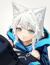 Rule 34 | 1girl, 1other, absurdres, animal ear fluff, animal ears, arknights, black coat, cat ears, coat, doctor (arknights), from above, green eyes, hands on another&#039;s chest, highres, hood, hood down, hooded coat, long hair, looking at another, looking up, parted lips, rosmontis (arknights), simple background, solo focus, upper body, white background, white hair, yoon cook