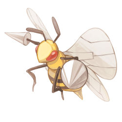 Rule 34 | animal focus, bee, beedrill, bug, commentary request, creatures (company), full body, game freak, gen 1 pokemon, insect, nintendo, no humans, oyasuminjyutsu, pokemon, pokemon (creature), red eyes, simple background, solo, white background