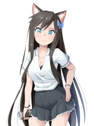 Rule 34 | 1girl, absurdres, aina (mao lian), animal ear fluff, animal ears, black bra, blue eyes, bra, bra peek, breasts, brown hair, butterfly hair ornament, can, canned coffee, cat ears, cat tail, cleavage, closed mouth, drink can, grey skirt, hair ornament, head tilt, highres, holding, large breasts, long hair, looking at viewer, mao lian (nekokao), miniskirt, original, pleated skirt, shirt, short sleeves, simple background, skirt, solo, standing, tail, underwear, very long hair, white background, white shirt, wristband