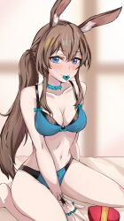 Rule 34 | 1girl, amiya (arknights), animal ears, arknights, blue bra, blue eyes, blue panties, blush, bow, bow panties, box, bra, breasts, brown hair, cleavage, commentary, condom, condom in mouth, english commentary, front-tie bra, full body, hair between eyes, heart-shaped box, highres, hip focus, indoors, infection monitor (arknights), jewelry, long hair, material growth, medium breasts, mouth hold, multiple rings, navel, neck ring, on bed, oripathy lesion (arknights), panties, ponytail, rabbit ears, rabbit girl, ring, selverna, sitting, smile, solo, spread legs, thighs, thumb ring, underwear, underwear only, valentine, very long hair