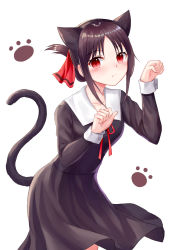Rule 34 | 1girl, animal ears, blush, brown dress, brown hair, brown hairband, cat ears, cat girl, cat tail, closed mouth, collarbone, collared dress, commentary request, dress, fake animal ears, hair ribbon, hairband, hands up, highres, kaguya-sama wa kokurasetai ~tensai-tachi no renai zunousen~, kemonomimi mode, long sleeves, neck ribbon, parted bangs, red eyes, red ribbon, ribbon, school uniform, seungju lee, shinomiya kaguya, shuuchiin academy school uniform, sidelocks, simple background, solo, tail, tail raised, white background