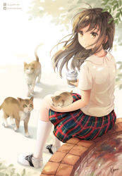 Rule 34 | 1girl, animal, artist name, bare arms, blue skirt, brown eyes, brown hair, buttons, cat, closed mouth, collared shirt, commentary request, cup, disposable cup, floating hair, holding, holding cup, kamui (kamuikaoru), kneehighs, leaf, long hair, looking at viewer, looking back, moe2019, original, outdoors, plaid, plaid skirt, pleated skirt, ripples, shirt, shoes, short sleeves, sidelocks, sitting, skirt, smile, sneakers, socks, solo, twitter username, water, white footwear, white socks, white shirt