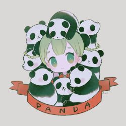 Rule 34 | 1girl, ayu (mog), blush, braid, bright pupils, bun cover, china dress, chinese clothes, closed mouth, double bun, dress, green eyes, green hair, grey background, head tilt, looking at viewer, original, panda, red dress, signature, simple background, solo, twin braids, white pupils