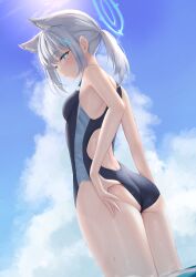 Rule 34 | 1girl, absurdres, animal ears, ass, back cutout, bare arms, bare shoulders, black one-piece swimsuit, blue archive, blue eyes, breasts, clothing cutout, competition swimsuit, cowboy shot, day, extra ears, fox ears, grey hair, halo, highres, long hair, looking at viewer, looking back, one-piece swimsuit, outdoors, parted lips, ponytail, reinama, shiroko (blue archive), shiroko (swimsuit) (blue archive), sidelocks, small breasts, solo, standing, sunlight, swimsuit, thighs, wet