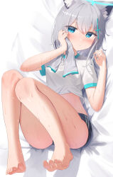 Rule 34 | 1girl, absurdres, alternate costume, animal ear fluff, animal ears, barefoot, bed sheet, black shorts, blue archive, blue eyes, blush, breasts, closed mouth, convenient leg, cross hair ornament, feet, from above, full body, grey hair, gym uniform, hair between eyes, hair ornament, halo, hands up, highres, knees together feet apart, legs, long hair, looking at viewer, lying, midriff, on back, shadow, shiny skin, shiroko (blue archive), shirt, short shorts, short sleeves, shorts, sidelocks, small breasts, solo, spread toes, sweat, sweatdrop, takeroku, thighs, toenails, toes, towel, white shirt, wiping face, wiping sweat, wolf ears