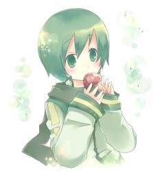 Rule 34 | 1boy, artist request, blush, child, coat, cropped torso, expressionless, food, food in mouth, green coat, green eyes, green hair, green scarf, hands up, holding, holding food, holding mushroom, long sleeves, looking to the side, lowres, male focus, mushroom, nigaito, scarf, short hair, sleeve cuffs, solo, source request, sparkle, upper body, vocaloid, white background