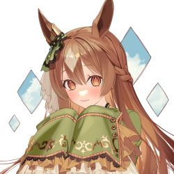 Rule 34 | 1girl, animal ears, blush, braid, brown hair, closed mouth, cloud, commentary request, ear ornament, frilled sleeves, frills, grey hair, half updo, horse ears, kushibi, long hair, long sleeves, looking at viewer, multicolored hair, orange eyes, satono diamond (umamusume), sleeves past fingers, sleeves past wrists, smile, solo, two-tone hair, umamusume, upper body, white background