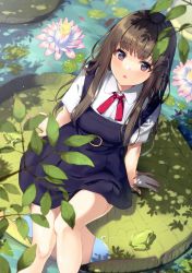 Rule 34 | 1girl, absurdres, arm support, black skirt, blurry, blush, branch, brown hair, collared shirt, depth of field, flower, frog, highres, leaf, lily, lily (flower), lily pad, long hair, looking at viewer, looking up, non-web source, open mouth, original, overall skirt, petals, petals on liquid, purple eyes, school uniform, shirt, short sleeves, sidelocks, sitting, skirt, solo, unasaka ryou, water, white shirt