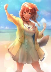 Rule 34 | 1girl, :3, :d, akinashe, animal ears, blurry, blurry background, bone hair ornament, braid, brown hair, cloud, commentary request, day, depth of field, dog ears, dog girl, dog tail, dress, hair ornament, highres, hololive, inugami korone, inugami korone (1st costume), lens flare, long hair, looking at viewer, open mouth, outdoors, sky, smile, solo, standing, tail, twin braids, virtual youtuber, water, white dress