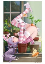 Rule 34 | 1girl, alternate costume, anal, anal object insertion, animal ears, ass, azur lane, between legs, black bow, blush, bottomless, bow, carrot, clenched hand, double penetration, fake animal ears, female masturbation, fingering, from side, full body, hair bow, hair ornament, hairband, hand between legs, hand up, heart, heart-shaped pupils, highres, knee up, laffey (azur lane), laffey (sleep to clean another day) (azur lane), legs, legs up, long hair, looking at viewer, lying, masturbation, messy hair, no panties, object insertion, on back, on shoulder, open mouth, pajamas, pajamas lift, pink eyes, pink hairband, pink pajamas, plant, polka dot, polka dot pajamas, purple hair, pussy juice, pussy juice stain, pussy juice trail, rabbit ears, rabbit hair ornament, rabbit tail, red eyes, sawkm, skindentation, slippers, solo, striped clothes, striped thighhighs, symbol-shaped pupils, tail, thighhighs, thighs, top-down bottom-up, twintails, upside-down, vaginal, vaginal object insertion, very long hair