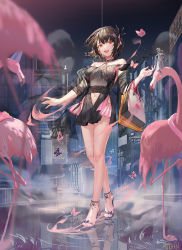 Rule 34 | 1girl, :d, artist name, atdan, bag, bare shoulders, bird, black dress, black hair, black shawl, blue butterfly, breasts, bug, building, butterfly, cityscape, clothing cutout, collarbone, commentary, dress, eyebrows hidden by hair, flamingo, full body, hair between eyes, high heels, highres, insect, lily (atdan), looking at viewer, medium breasts, navel, navel cutout, night, off-shoulder dress, off shoulder, open mouth, original, pink butterfly, purple footwear, red eyes, ripples, see-through, shawl, shopping bag, short hair, sidelocks, skyscraper, smile, solo, standing, teeth, upper teeth only