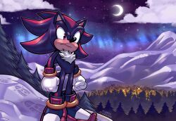Rule 34 | absurdres, aurora, cityscape, cloud, cloudy sky, crescent moon, gloves, highres, lemon eyebrows, moon, mountain, mountainous horizon, night, night sky, outdoors, pine tree, red eyes, shadow the hedgehog, shoes, sky, snow, sonic (series), star (sky), starry sky, tree, watermark, white gloves
