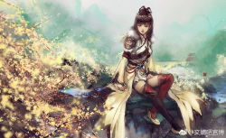 Rule 34 | 1girl, artist request, bird, brown hair, chinese clothes, closed mouth, dress, fur trim, hair ornament, highres, hua jianghu zhi bei mo ting, light particles, long sleeves, looking down, medium hair, rock, second-party source, shoulder guard, sitting, solo, two-tone thighhighs, water, wen jing (hua jianghu), white dress