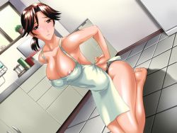 Rule 34 | 00s, 10s, 1girl, apron, areola slip, armpits, barefoot, black panties, blush, breasts, brown eyes, brown hair, bursting breasts, cleavage, covered erect nipples, dutch angle, feet, floor, game cg, housewife, indoors, kitchen, kneeling, large breasts, mature female, naked apron, on floor, panties, parted bangs, plant, ponytail, potted plant, seiza, shadow, shijou saikyou no deshi ken&#039;ichi, shirahama saori, short hair, sitting, smile, soles, solo, st.germain-sal, underwear, window
