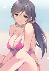 Rule 34 | 1girl, beach, bikini, breasts, closed mouth, duke (inu daimyou), green eyes, hair ornament, hair scrunchie, large breasts, long hair, looking at viewer, love live!, love live! school idol project, low twintails, ocean, purple hair, red bikini, scrunchie, sitting, smile, solo, swimsuit, tojo nozomi, twintails