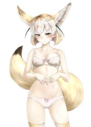 Rule 34 | 1girl, aino-san (miximixi39), animal ear fluff, animal ears, bad id, bad pixiv id, bare arms, bare shoulders, black hair, blonde hair, blush, bow, bow panties, bra, breasts, closed mouth, collarbone, cowboy shot, extra ears, fennec (kemono friends), fox ears, fox tail, half-closed eyes, highres, kemono friends, light smile, looking at viewer, medium breasts, medium hair, multicolored hair, navel, own hands together, panties, short hair, simple background, skindentation, solo, standing, stomach, striped clothes, striped panties, tail, thighhighs, underwear, underwear only, white background, white hair, yellow eyes
