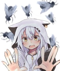 Rule 34 | 1girl, animal ears, animal hood, azuma lim, blurry, blurry background, blush, brown eyes, bug, cat ears, cat hood, cyber v, depth of field, ear piercing, fleeing, fly, hair between eyes, highres, hood, hood up, hoodie, insect, long hair, long sleeves, moti yousei, open mouth, outstretched arms, piercing, silver hair, solo, tears, virtual youtuber, white background, white hoodie