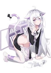 Rule 34 | 1girl, absurdres, ahoge, all fours, animal ears, apron, black ribbon, blue eyes, box, cat ears, cat girl, cat tail, crop top, cuffs, glass, grey hair, hair ornament, hairclip, hand up, handcuffs, highres, long hair, long sleeves, looking at viewer, neck ribbon, original, ribbon, skirt, solo, spill, symbol-shaped pupils, tail, tail ornament, tail ribbon, thighhighs, verslll, waist apron, white apron, white thighhighs, x hair ornament