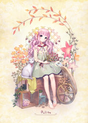 Rule 34 | 1girl, anklet, bad id, bad pixiv id, bare legs, barefoot, barefoot sandals (jewelry), blush, cat, crate, dress, feet, flower, jewelry, long hair, megumu, original, pink hair, plant, sitting, solo, toe ring, wheel