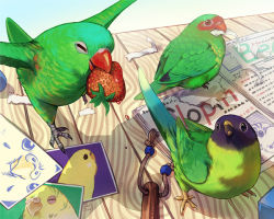 Rule 34 | ^ ^, animal, animal focus, beak, bird, book, budgerigar (bird), claws, closed eyes, destruction, era (traveling bird), closed eyes, feathers, fishball, food, fruit, magazine (object), mouth hold, no humans, open mouth, original, paper, parrot, photo (object), ribbon, shadow, strawberry