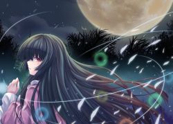 Rule 34 | 1girl, absurdres, black hair, blush, breasts, dress, full moon, highres, hime cut, houraisan kaguya, long hair, looking at viewer, moon, night, night sky, oubou, parted lips, pink dress, profile, sky, solo, star (sky), starry sky, touhou, tree shade, upper body, very long hair, wide sleeves